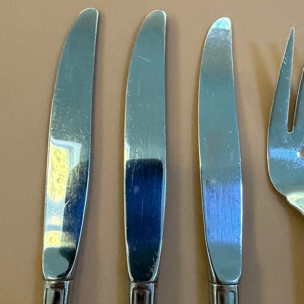 Oneida community stainless